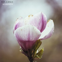 Acceptance - EP - Purl & Sinius