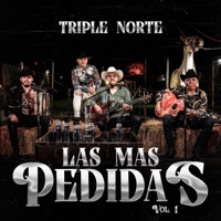 cuidado con los mitotes (feat. triple norte) - Single - Jesus Avilez