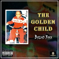 Stripper Bowl - Single - Bread Foxx