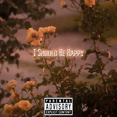 I Should Be Happy - Single