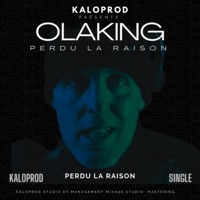 Perdu la raison (feat. Olaking) - Single - kaloprod
