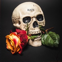 Cold Game - Single - Dj Insane