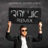 Mordechai Shapiro - Ani Yehudi (feat. ZELIG) [REMIX]
