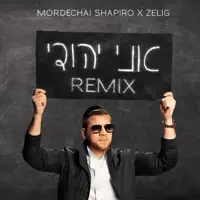 Ani Yehudi (feat. ZELIG) [REMIX] — Mordechai Shapiro