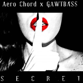 Secret Aero Chord & Gawtbass