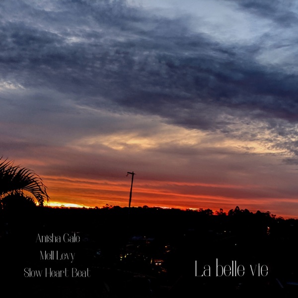 La belle vie - Single