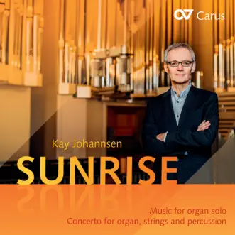 Concerto for Organ, Strings and Percussion: II. Adagio by Kay Johannsen, Stiftsphilharmonie Stuttgart & Mihhail Gerts song reviws