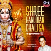 Shree Hanuman Chalisa - Vol. 1 (Hanuman Bhajan) artwork