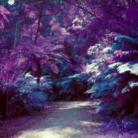 Imax (feat. Logan M) - Single - softend