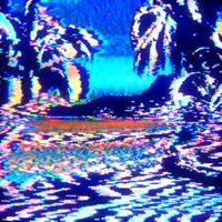 Bliss of Ignorance - Single - wavetearz