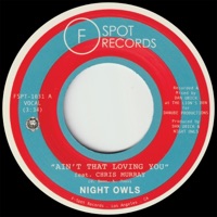 Ain't That Loving You (feat. Chris Murray) - Single - Night Owls