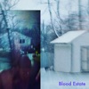 delirium (i fall) by Blood Estate