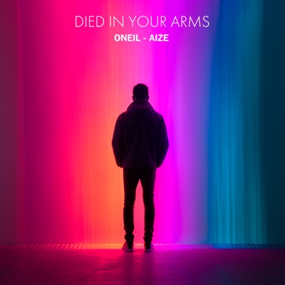 Died in Your Arms - Single