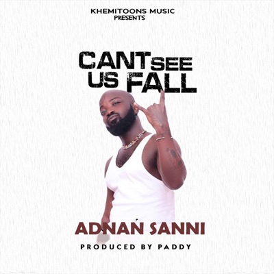 Can't see Us Fall - Single