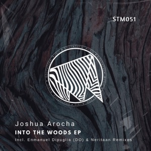Into the Woods EP