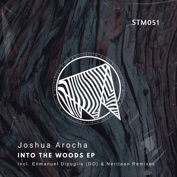 Into the Woods EP