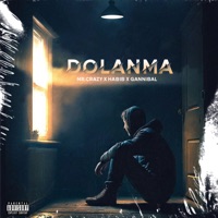 Dolanma (feat. Habibi, Ganibal) - Single - Mr.Crazy