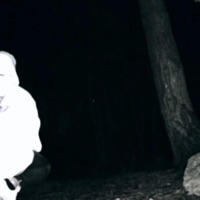 Dead: - Single - fall