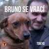 Bruno Se Vrací (feat. Markéta Vodičková) - Single