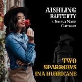 Two Sparrows in a Hurricane (feat. Teresa Marie Canavan) artwork