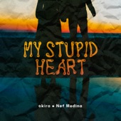 My Stupid Heart (Acoustic) artwork