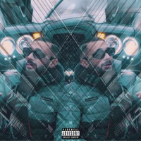 La zone - Single - Zin l'Animal