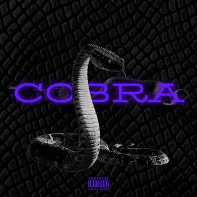 Cobra (Freestyle) [Freestyle] - Single