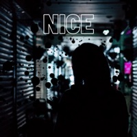 NICE (feat. GDUB) - Single - Beasley