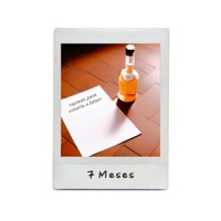 7 Meses - Single - Zilvestre