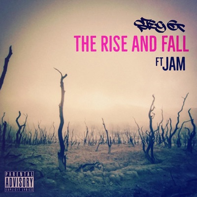 The Rise and Fall (feat. Jam CCTV) - Single