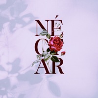 Néctar - Single - Off Airon