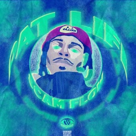 Pat Life Scam Flow criiipa cognito