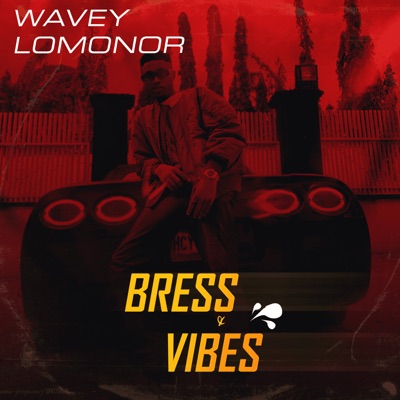 Bress & Vibes - Single