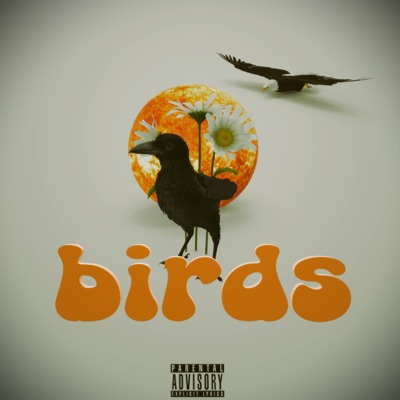 Birds - Single