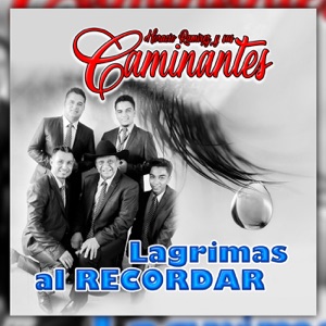 Lágrimas Al Recordar