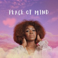 Peace of Mind - Single - Toby Grey