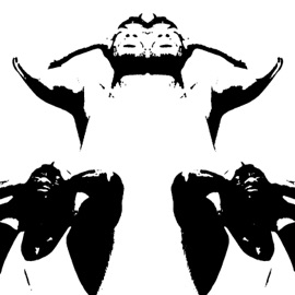 Got Damn OSHEA IV & C13