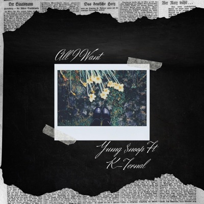 ALL I WANT (feat. Kternal) - Single