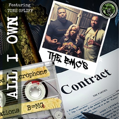 All I Own (feat. Tone Spliff) - Single