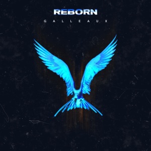 Reborn - Single