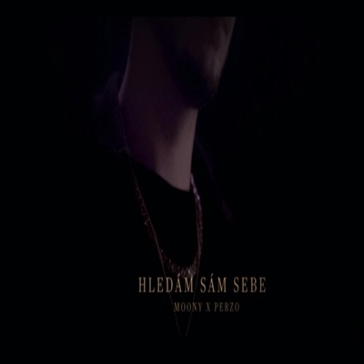 Hledám sám sebe (feat. PerzoMusic) - Single
