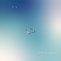 Skyfall - Single - Echolocation