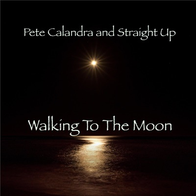 Walking To the Moon - Single