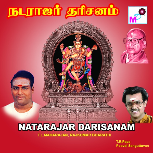 Natarajar Darisanam