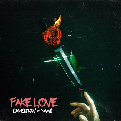 FAKE LOVE (feat. Nam$) - Single
