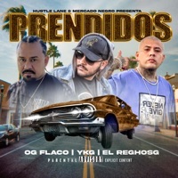 Prendidos (feat. YKG & El Reghosg) - Single - OG Flaco