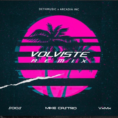 Volviste (feat. Mike Castro & VxMx) [Remix] - Single