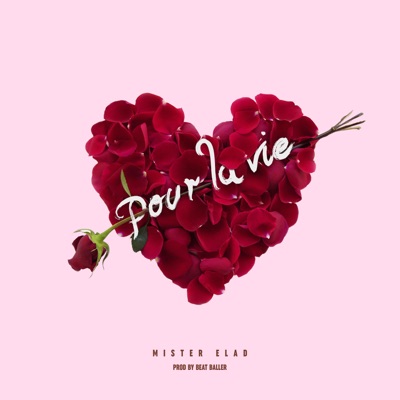 Pour La Vie - Single