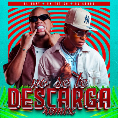 No Se Te Descarga (Remix) - Single