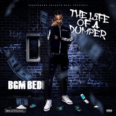 The Life of a Dumper